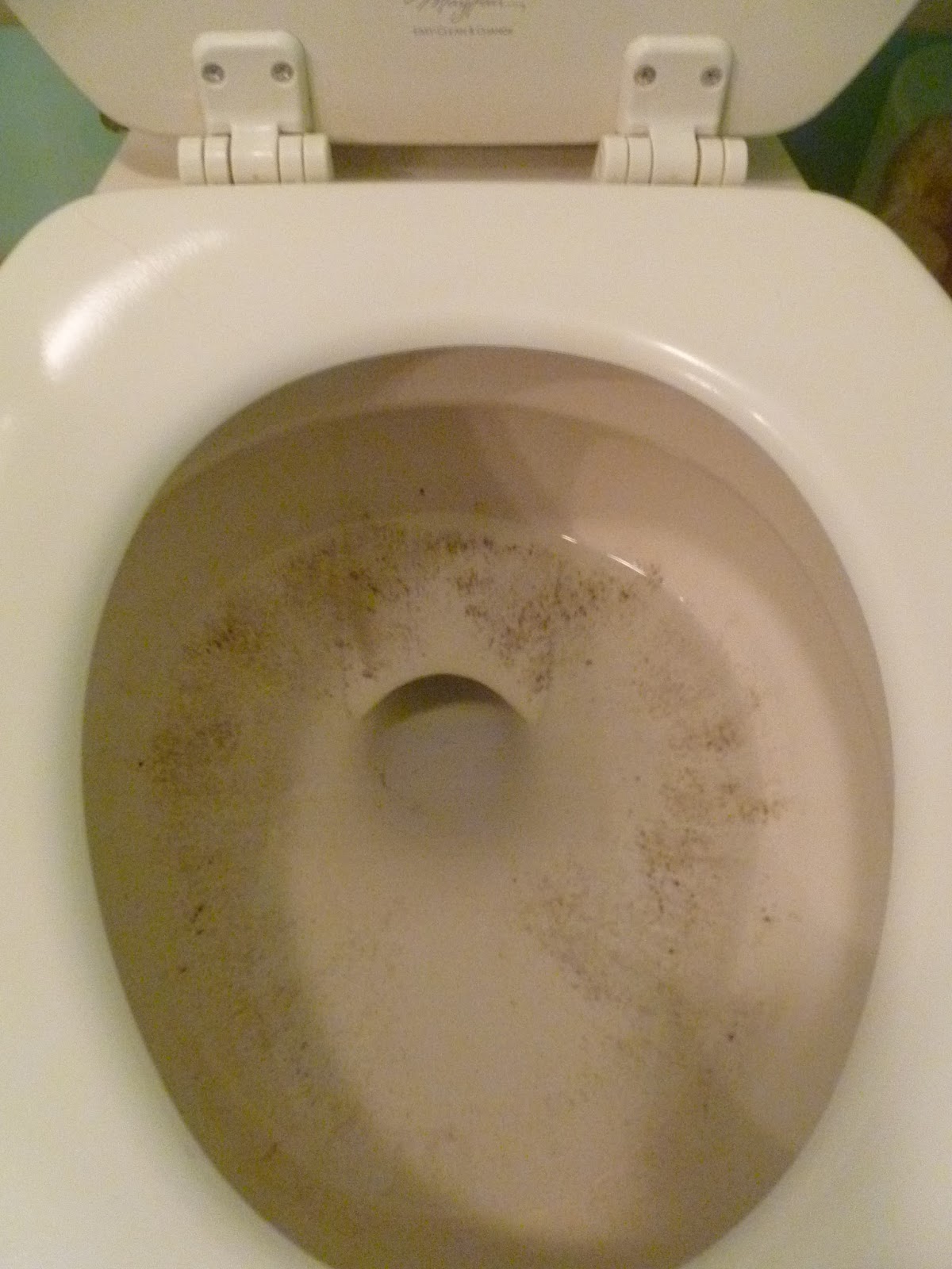 Stranded in Chaos Toilets versus Sara