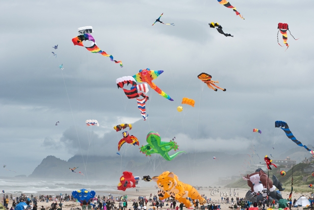 45 journal: Oregon Kite Festival