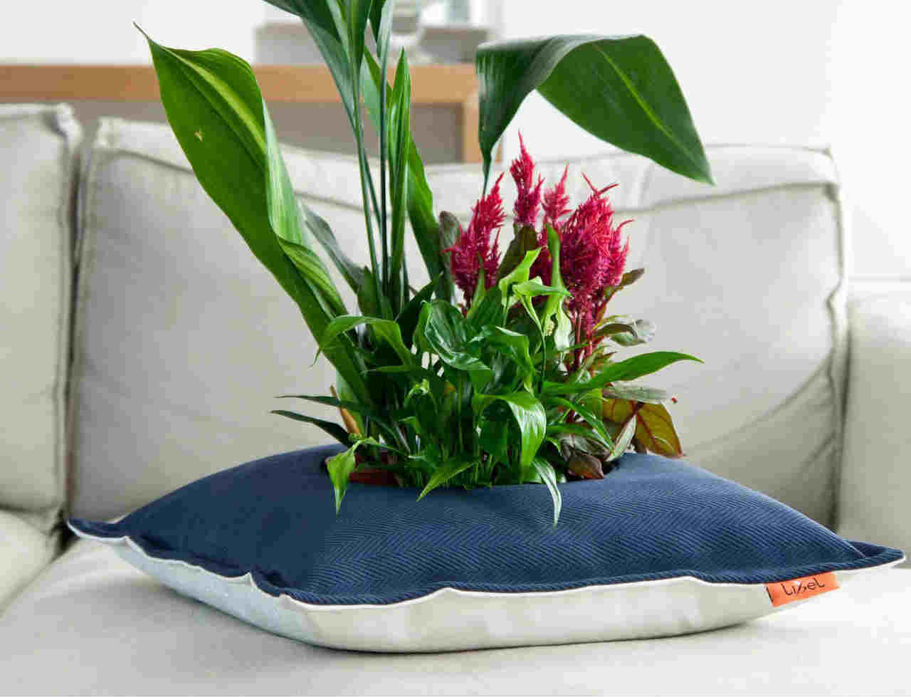 Studio Libel’s Pillow Pots decorates your home creatively Spicytec