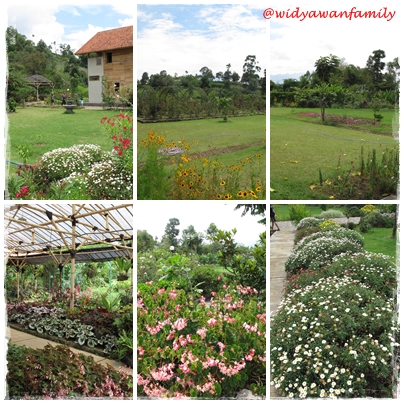 Taman Mawar