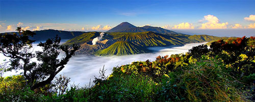 Bromo Amazing Trip (Jogja - Bromo - Ijen Crater - Ketapang / Denpasar / Pemuteran / Lovina)