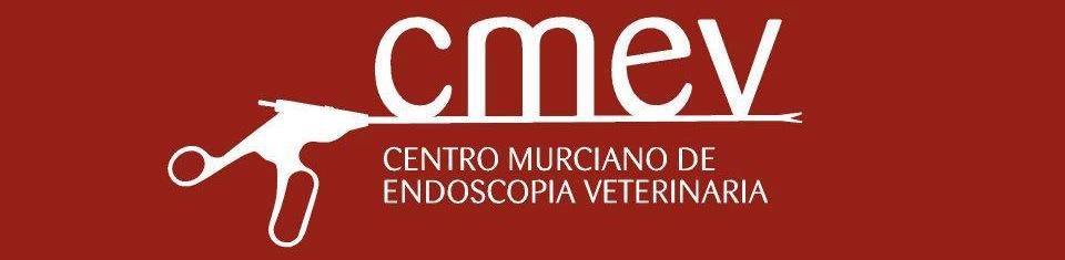Centro Murciano de Endoscópia Veterinaria (C.M.E.V.)