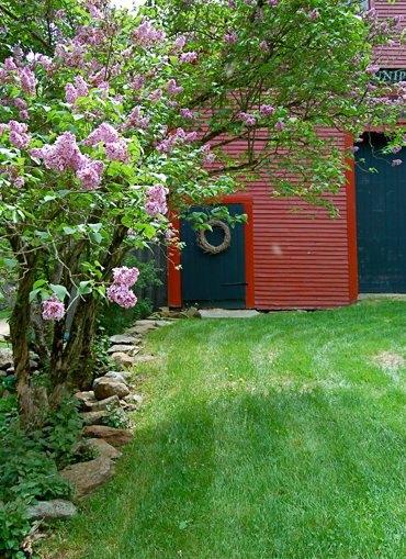 36 Best Garden Fedge Images Garden Plants Edible Garden