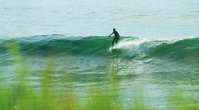 surfinestate troy elmor