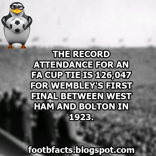 Football Fact About FA Cup Football Facts