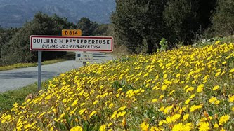 Duilhac sous  Peyrepertuse