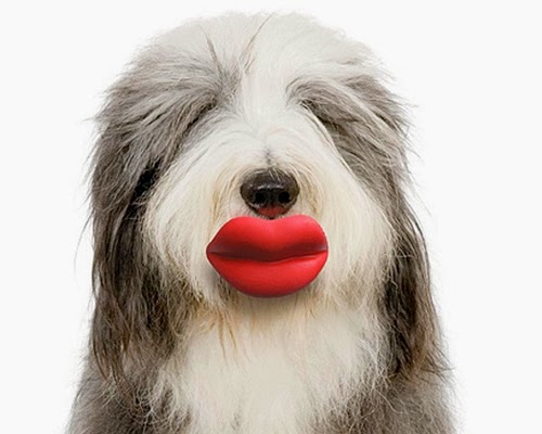Humunga Lips dog toys