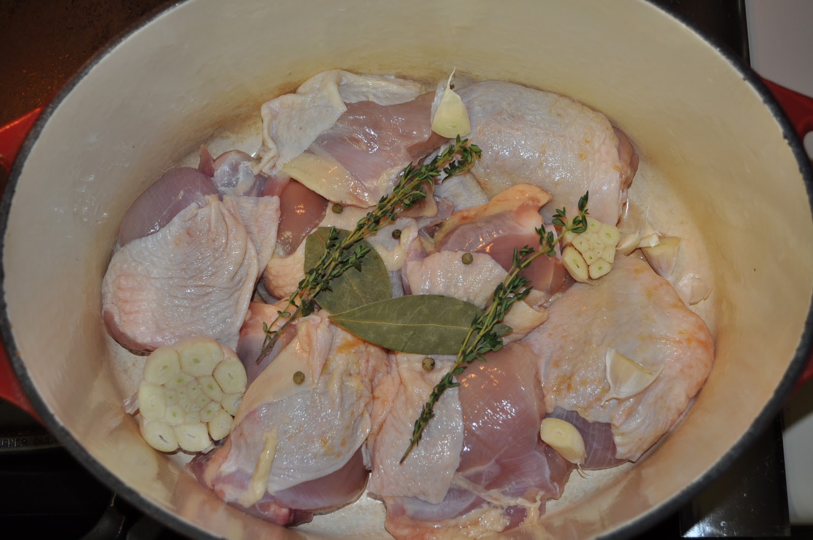 My Cocina, My Kitchen Chicken and Buttermilk Chive Dumplings