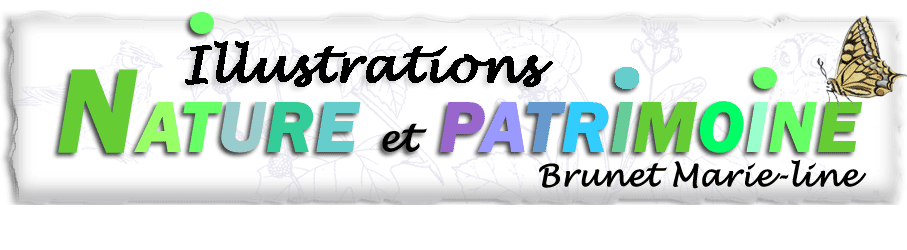 illustrations nature et patrimoine