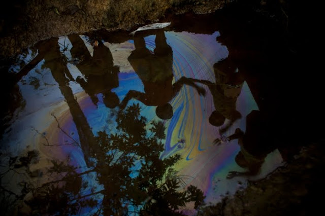 International photography awards 2011