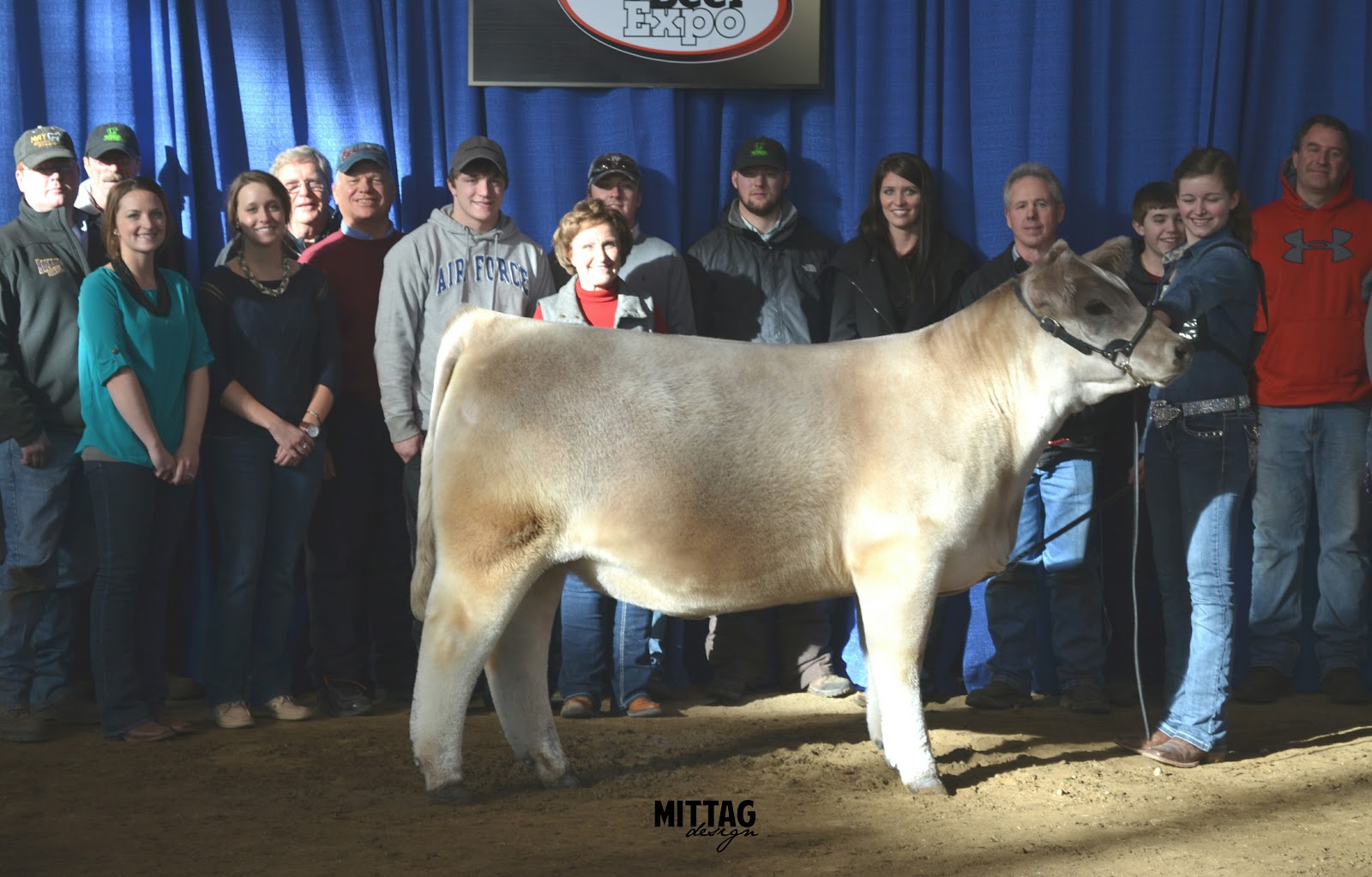 MITTAG Blog Iowa Beef Expo Top 5 Heifers