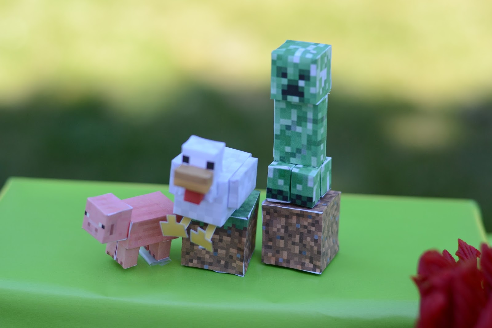 Circle River Creations Birthday Minecraft Party