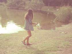 Let´s find a beautiful place to get lost.
