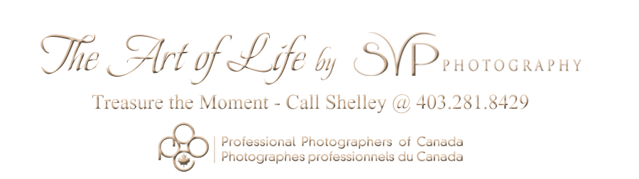 Calgary Master Photographer Artist at SVP Photography 403.281.8429