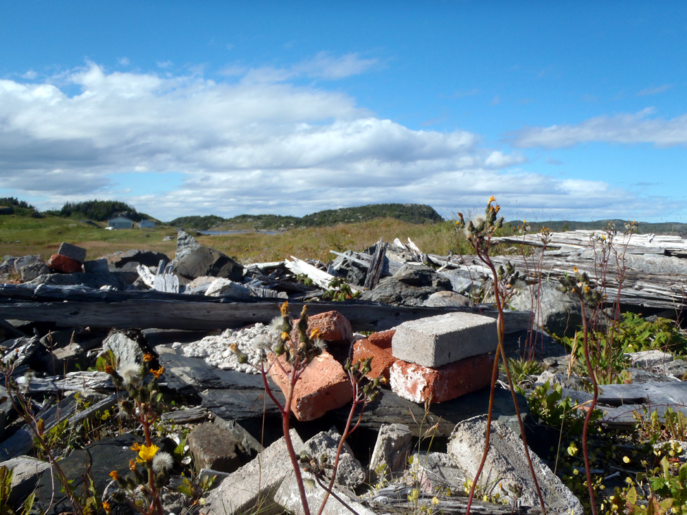 Flat Island Bonavista Bay Nl Flat Island Bonavista Bay Nl