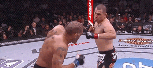 cain+ko+bigfoot+ufc+160.gif