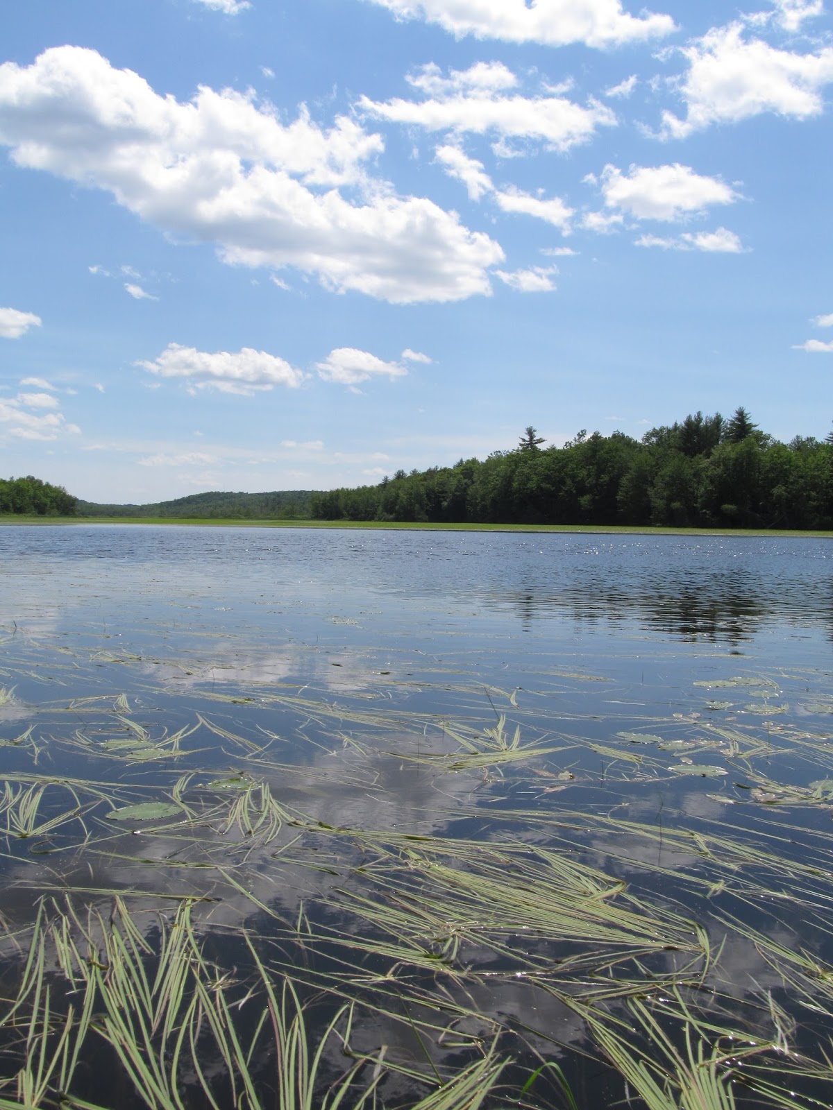 Recreational Kayaking in Maine Upper Pleasant Pond, Richmond, Maine