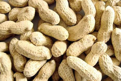 10 Manfaat Makan kacang Tanah Untuk Kesehatan Manfaat Makan kacang Tanah Untuk Kesehatan