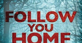 My So-Called Book Reviews: Review ~ Follow You Home by Mark Edwards