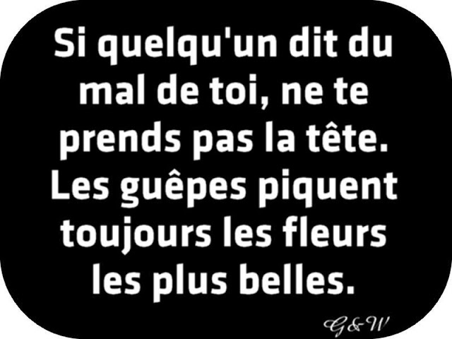 Citations option bonheur: Citation sur les critiques négatives