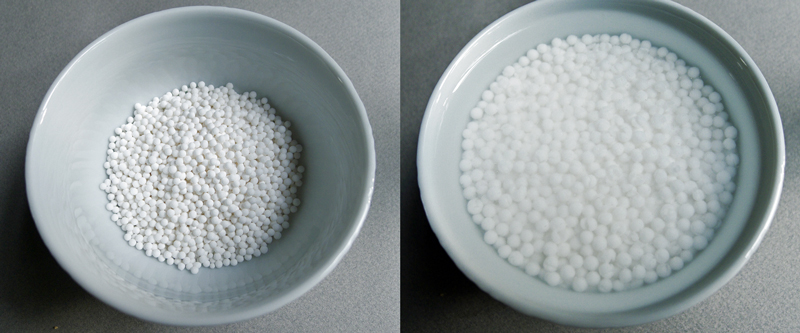 Siri What Is Tapioca Made Of