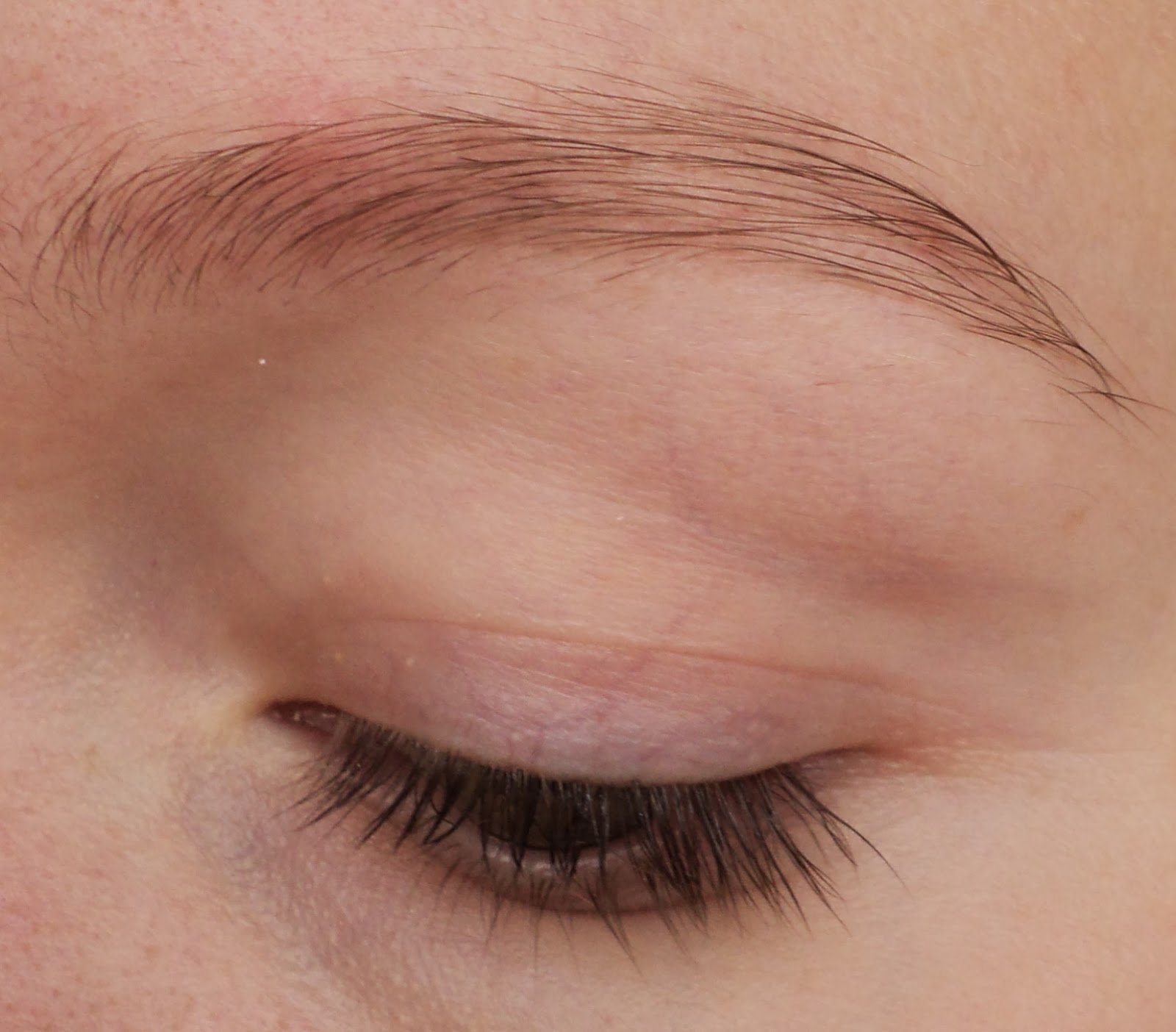 The Make Up Hotspot Kruidvat eyelash&eyebrow colour Review