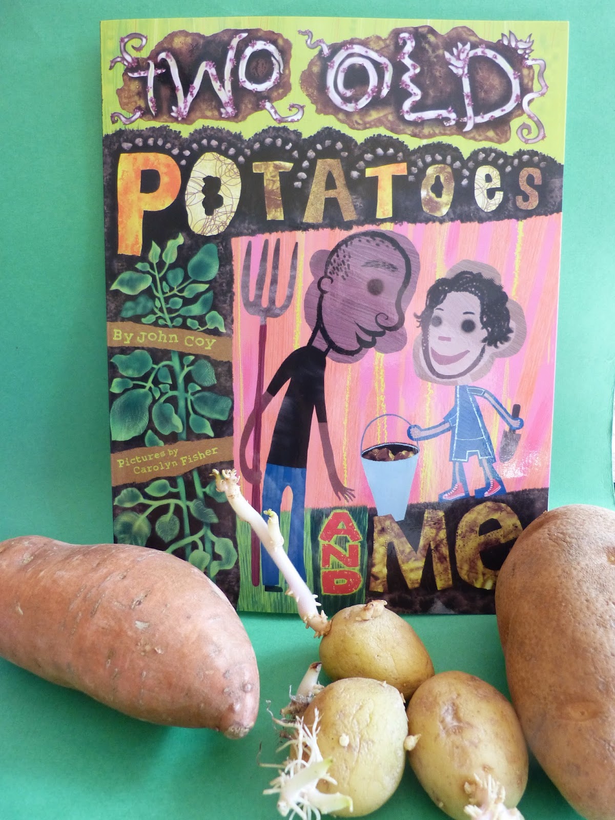 Paula's Primary Classroom Potatoes a follow up