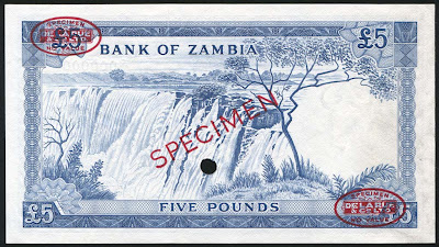 Zambian 5 pounds banknote money currency