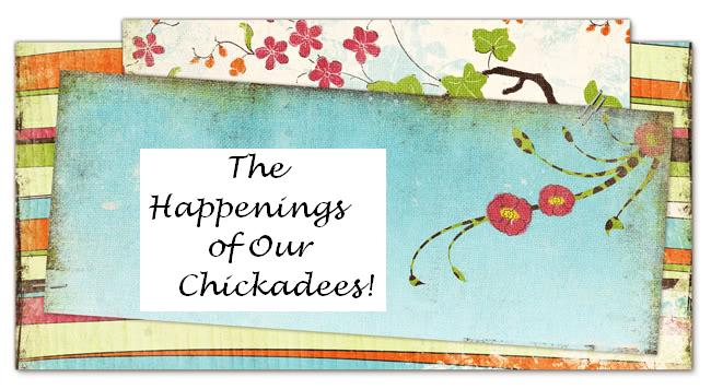 The Happening of our Chickadees!