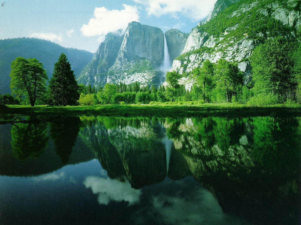 http://2.bp.blogspot.com/-y-P68UuODj4/TlHVMJlHWEI/AAAAAAAASL8/4FP64MvUOB0/s1600/11LONELY+TREE.jpg