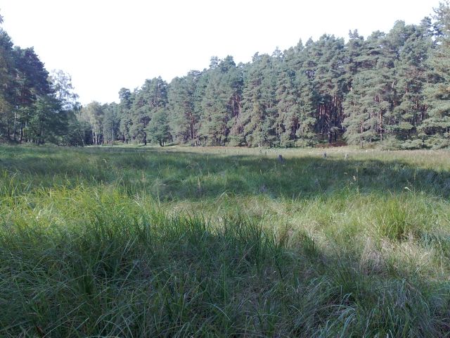 Freizeit Reiten 2011