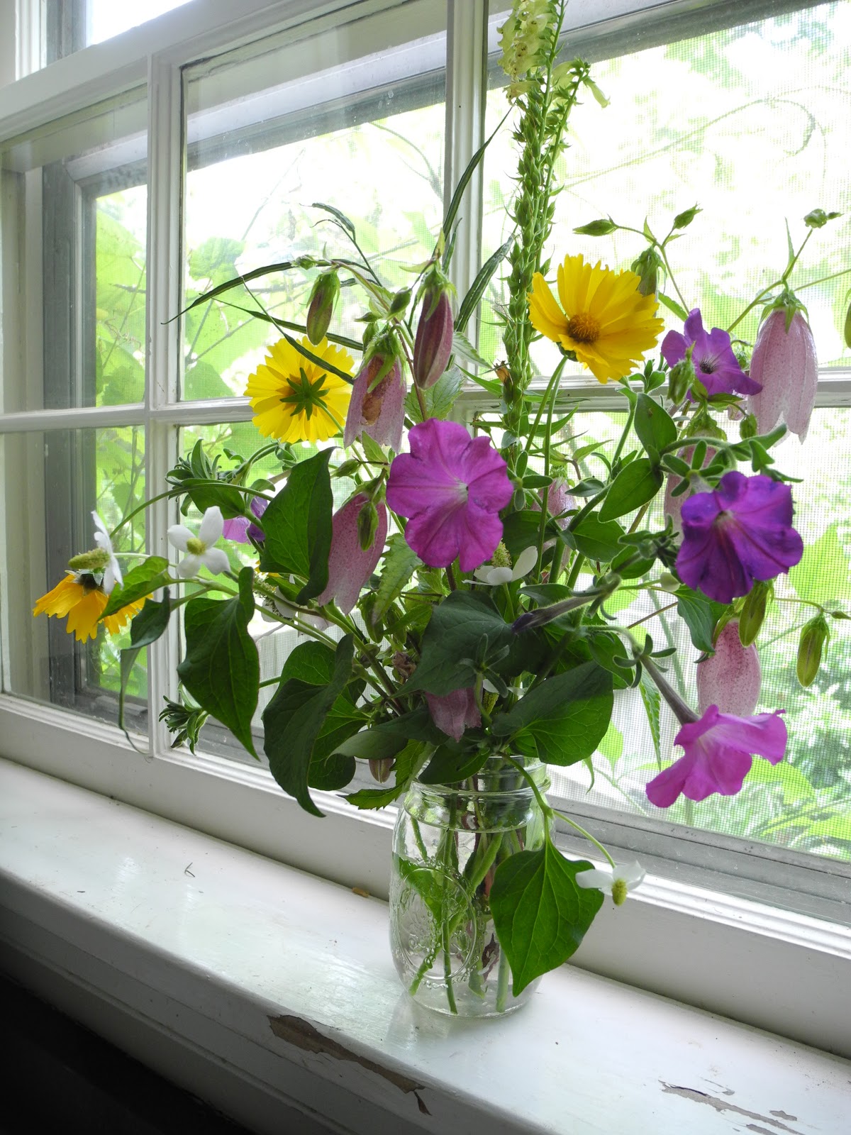 Windowsill Arranging May 2011