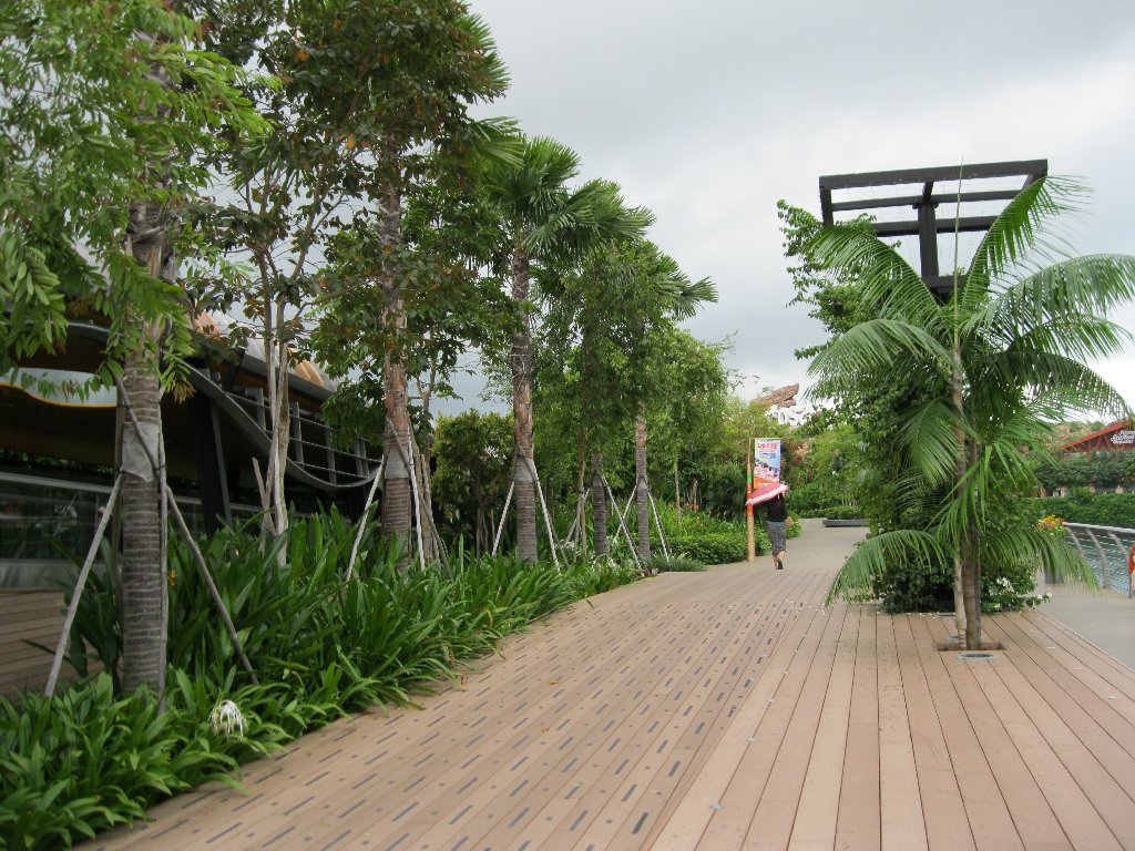 Singapore Walking Routes Sentosa Jungle Trails and Beach Walks