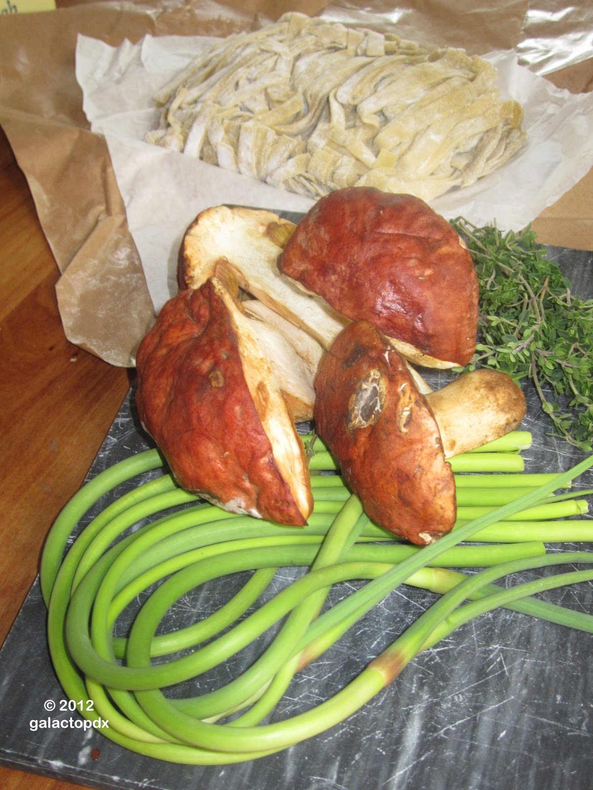 The Not So Cheesy Kitchen {Galactosemia in PDX} Porcini mushrooms