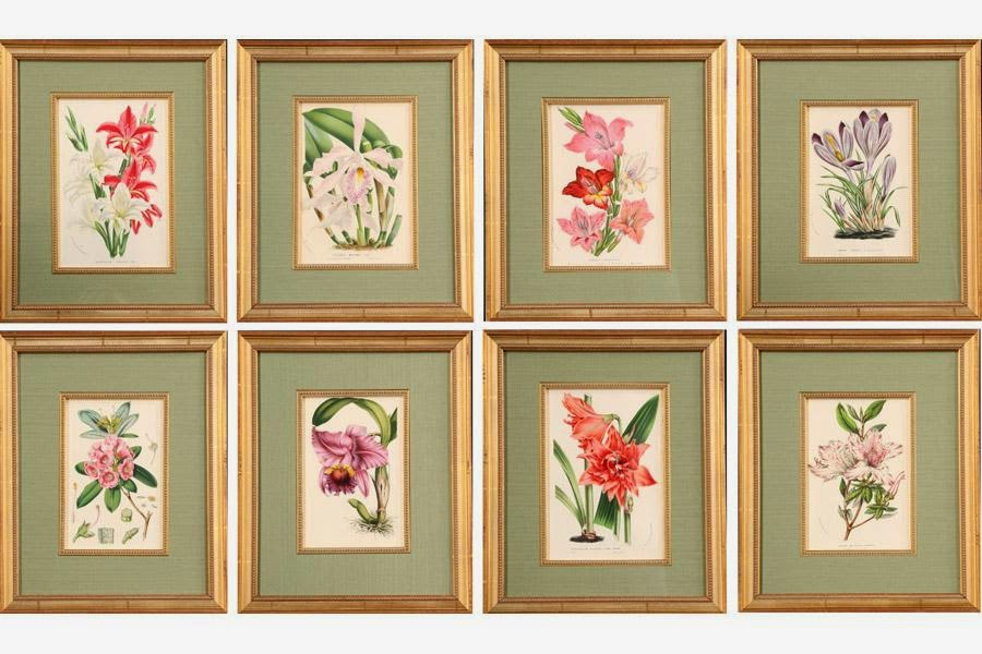 Nicolas de Pompadour September 2014