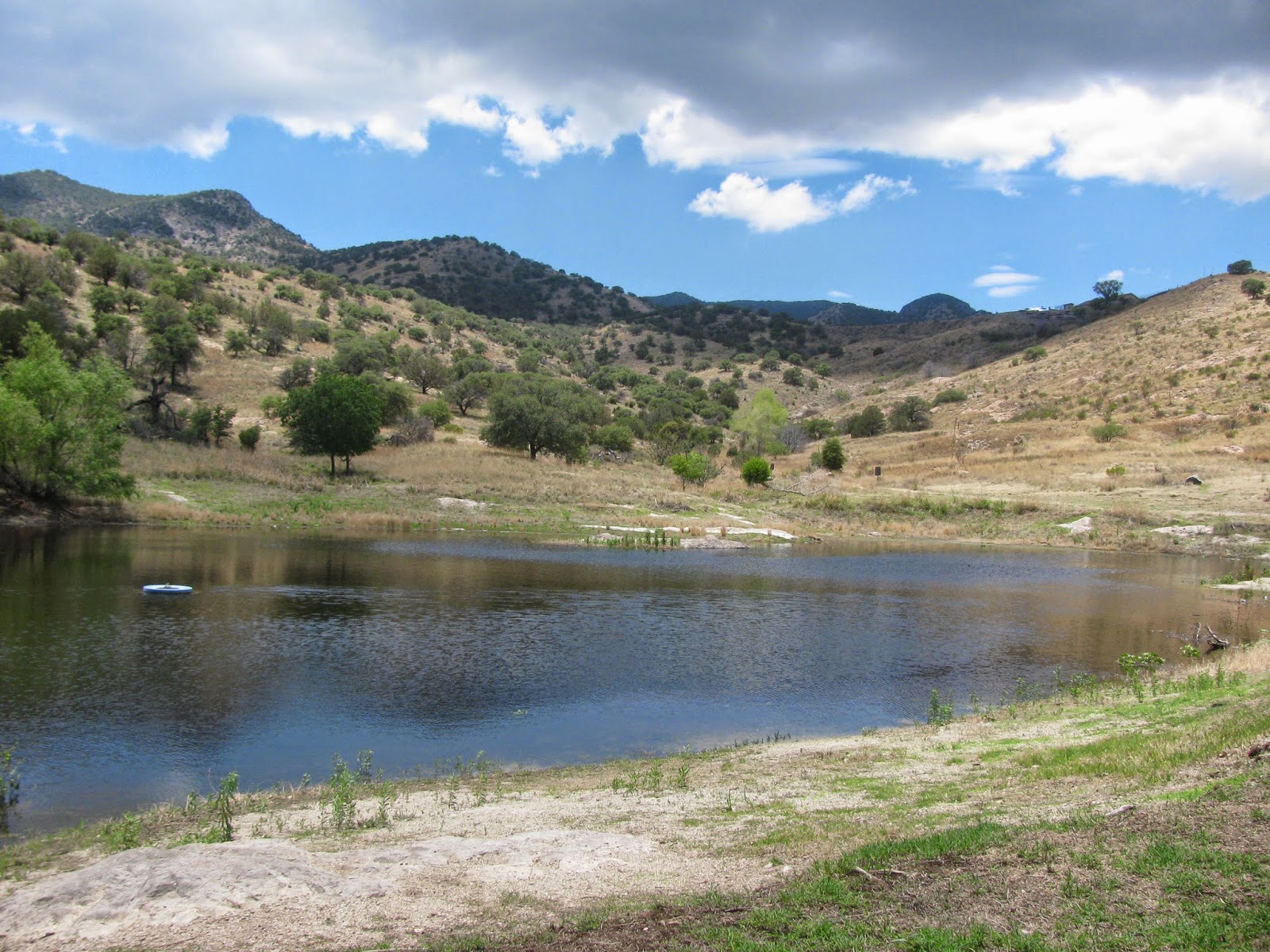 Backyard Excursions Officers Club Pond, the closest fishing to Sierra