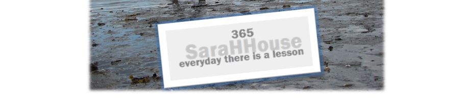Sarah House 365
