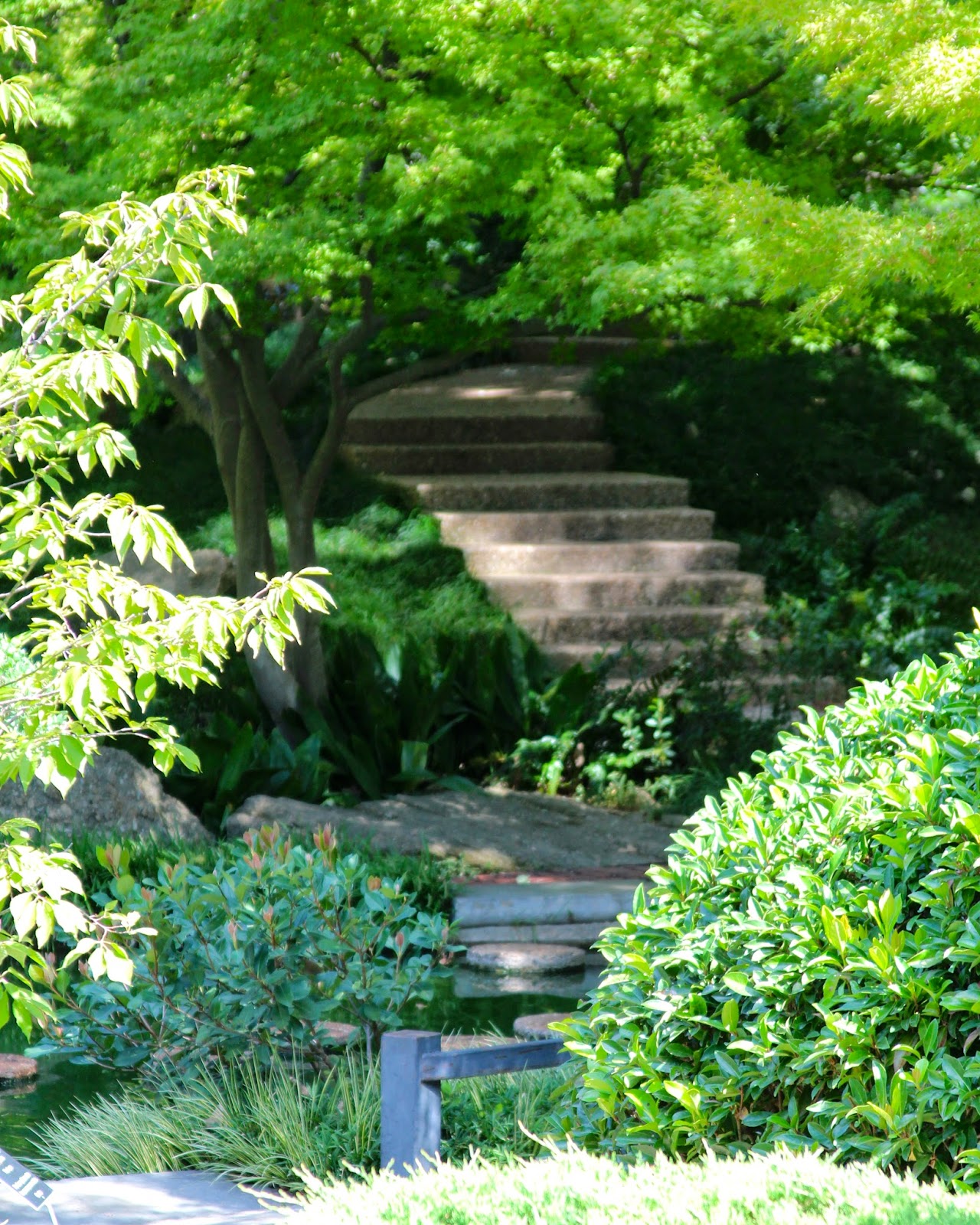 Rainbow Magic Sparkle Butterfly : My Visit to the Fort Worth Japanese