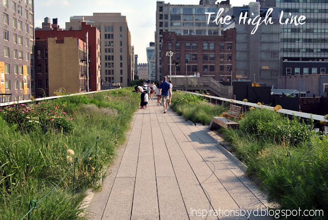 The High Line in Photos/ New York City