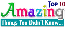 Amazing Ten Things you did not know