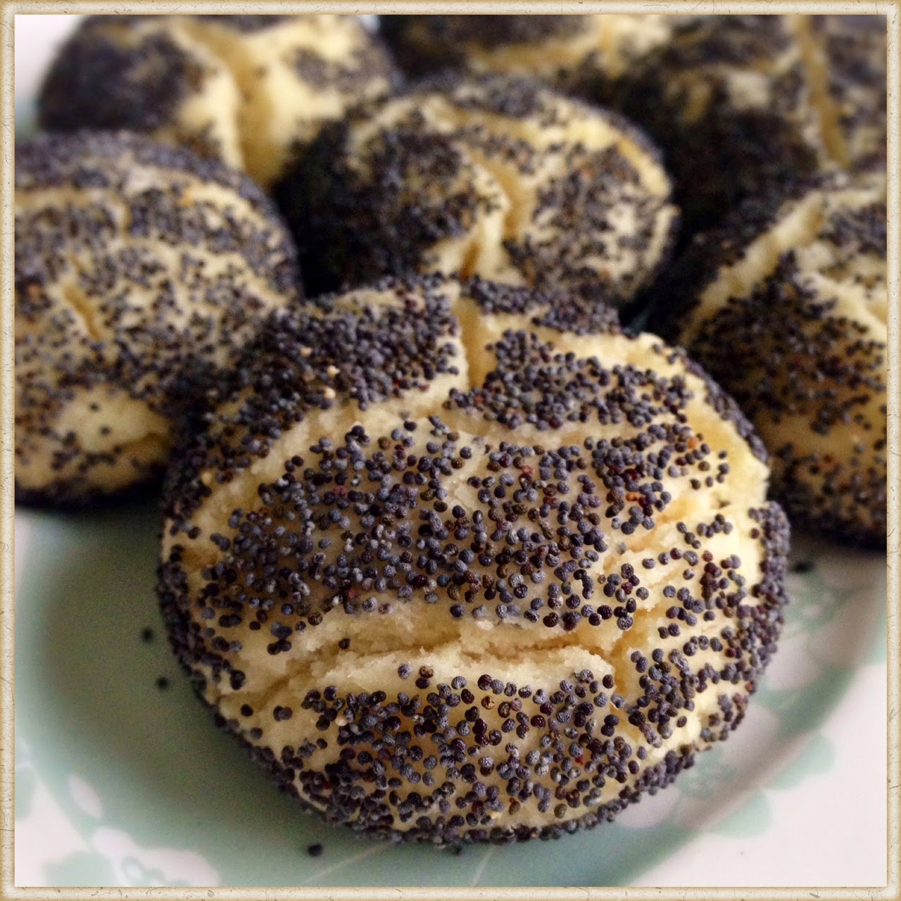 Haşhaşlı Kurabiye