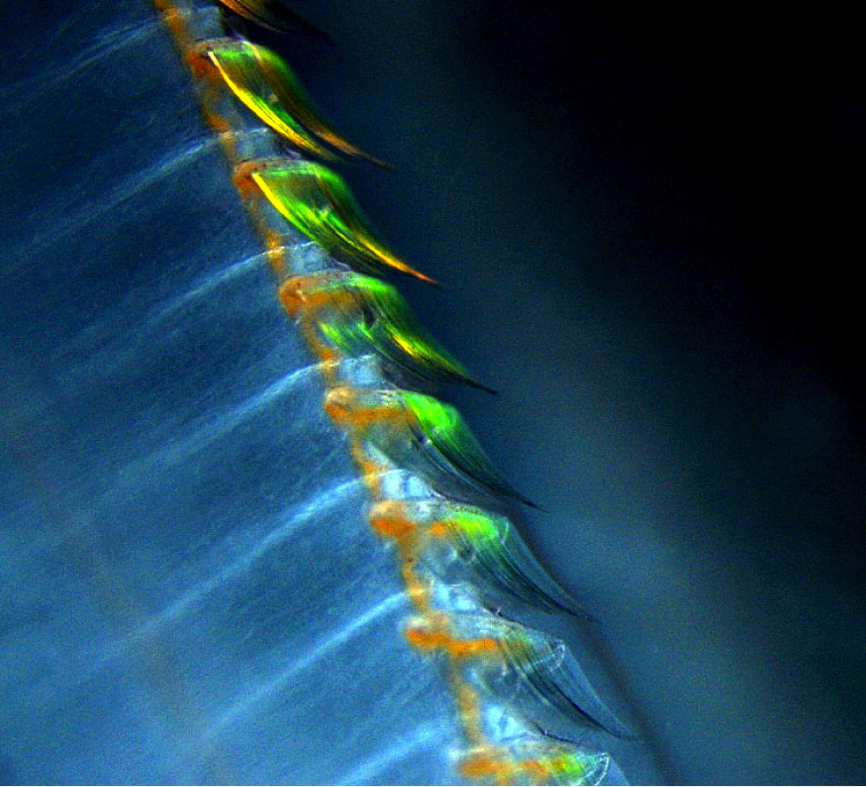 Exhibit Galleries Blog