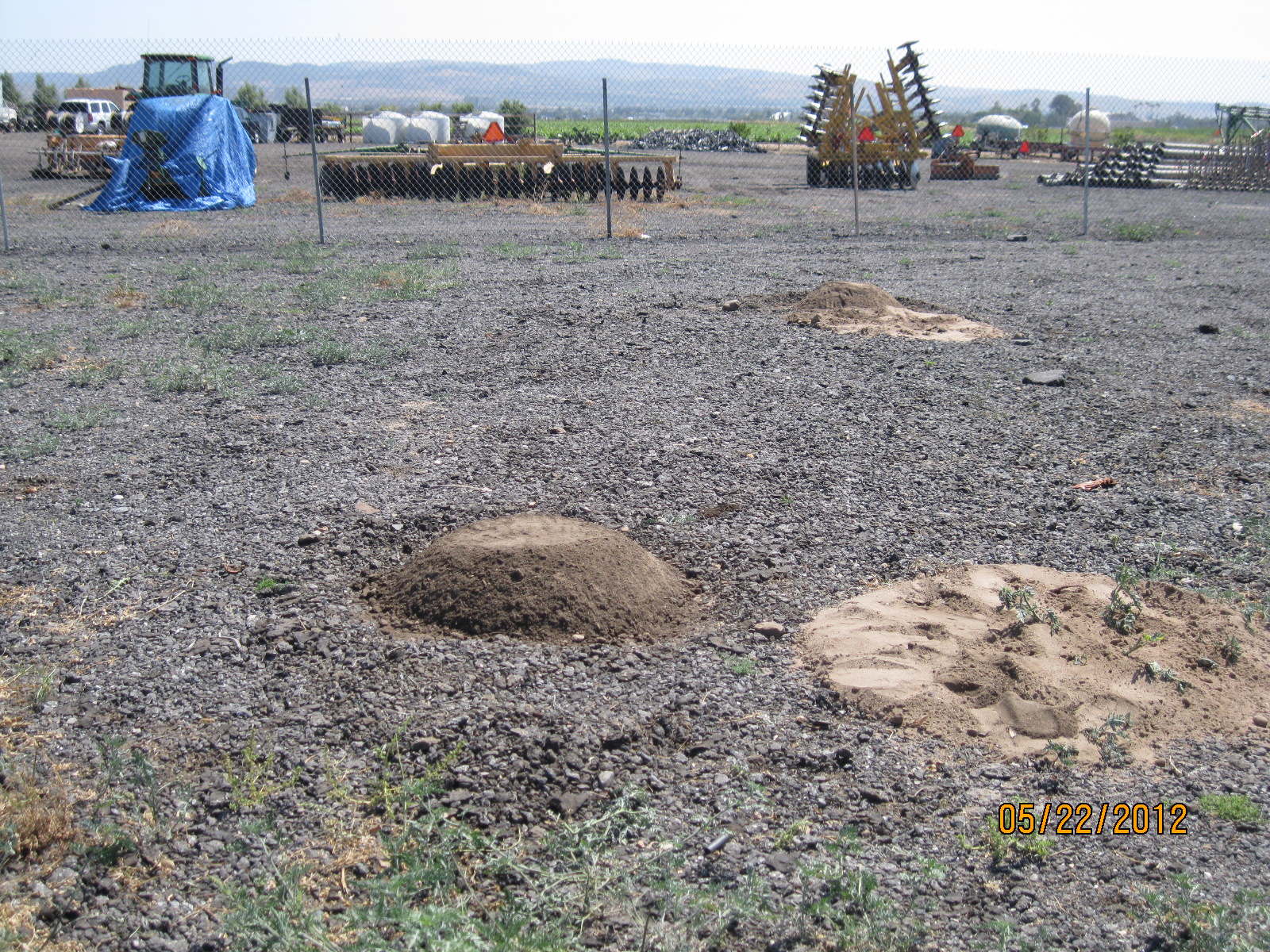 Pumpkinmania! Giant pumpkin mound and ground preparation