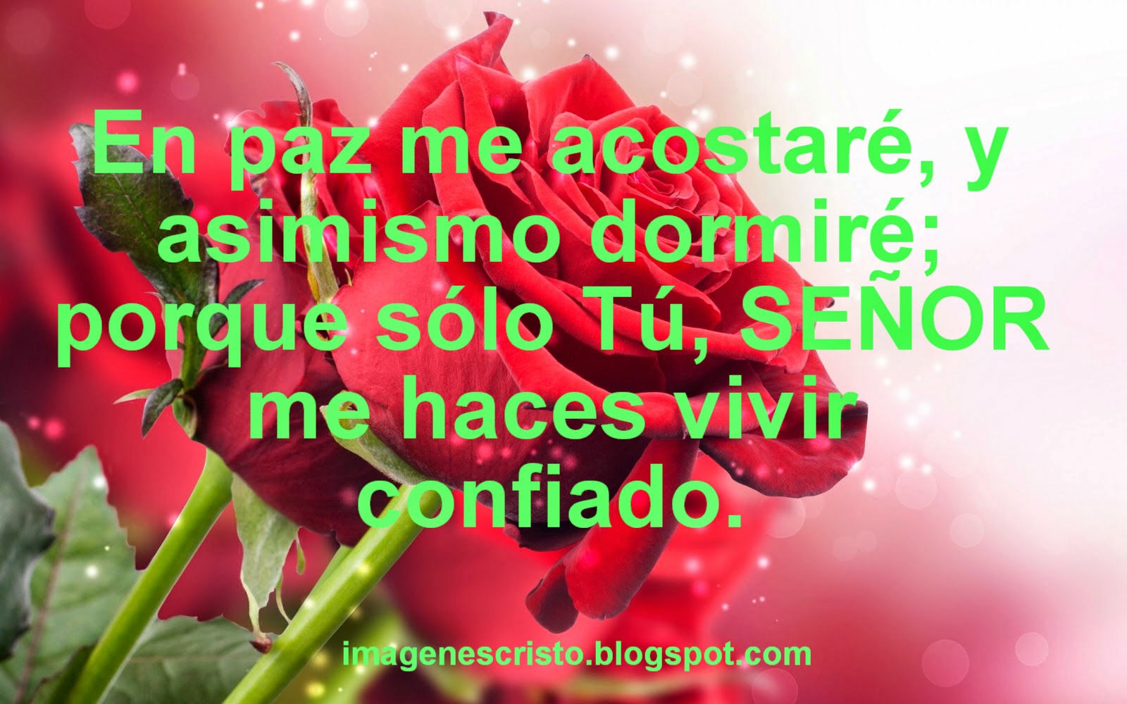 Resultado de imagen de images de flores con mensajes 