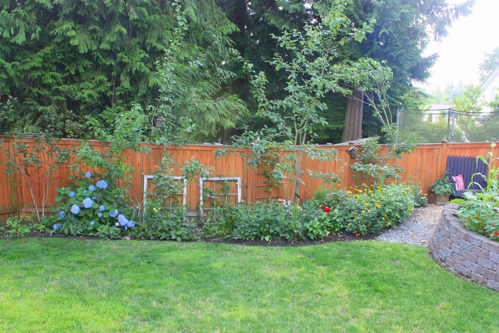 My Sweet Savannah Hydrangea Love Care