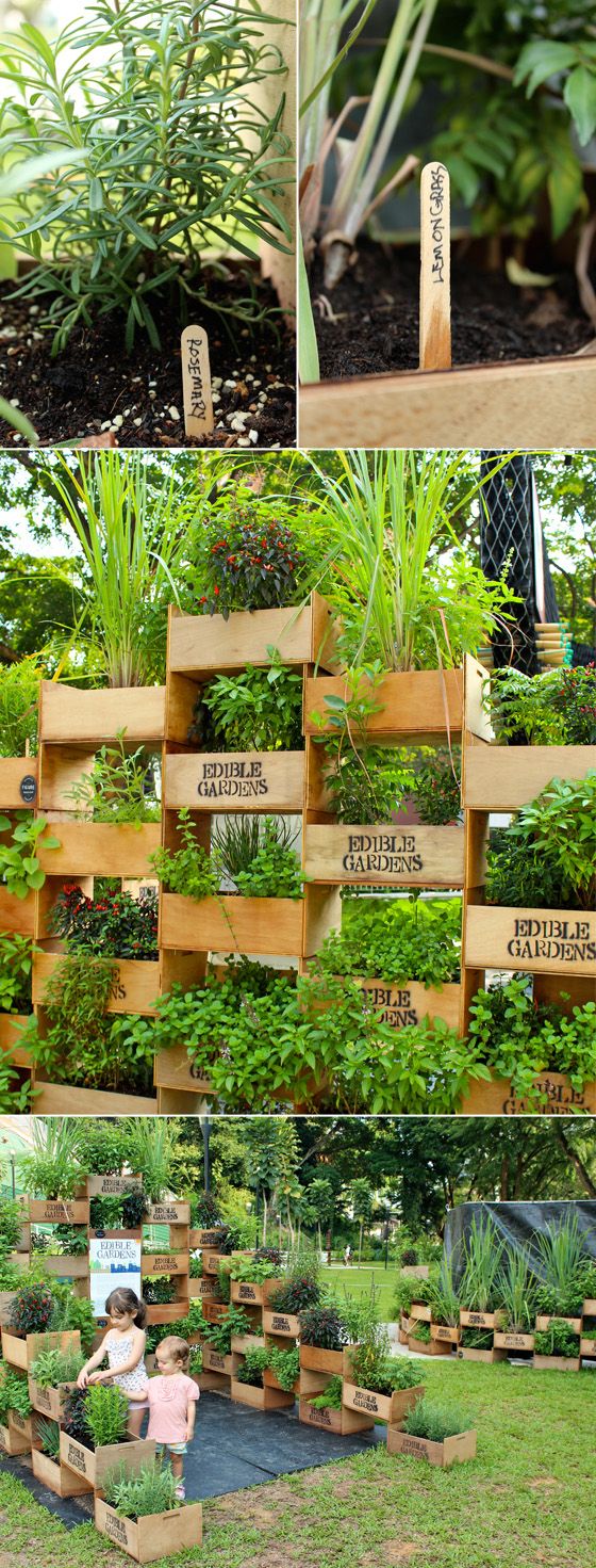 Best of the best: Garden Tricks And Ideas!