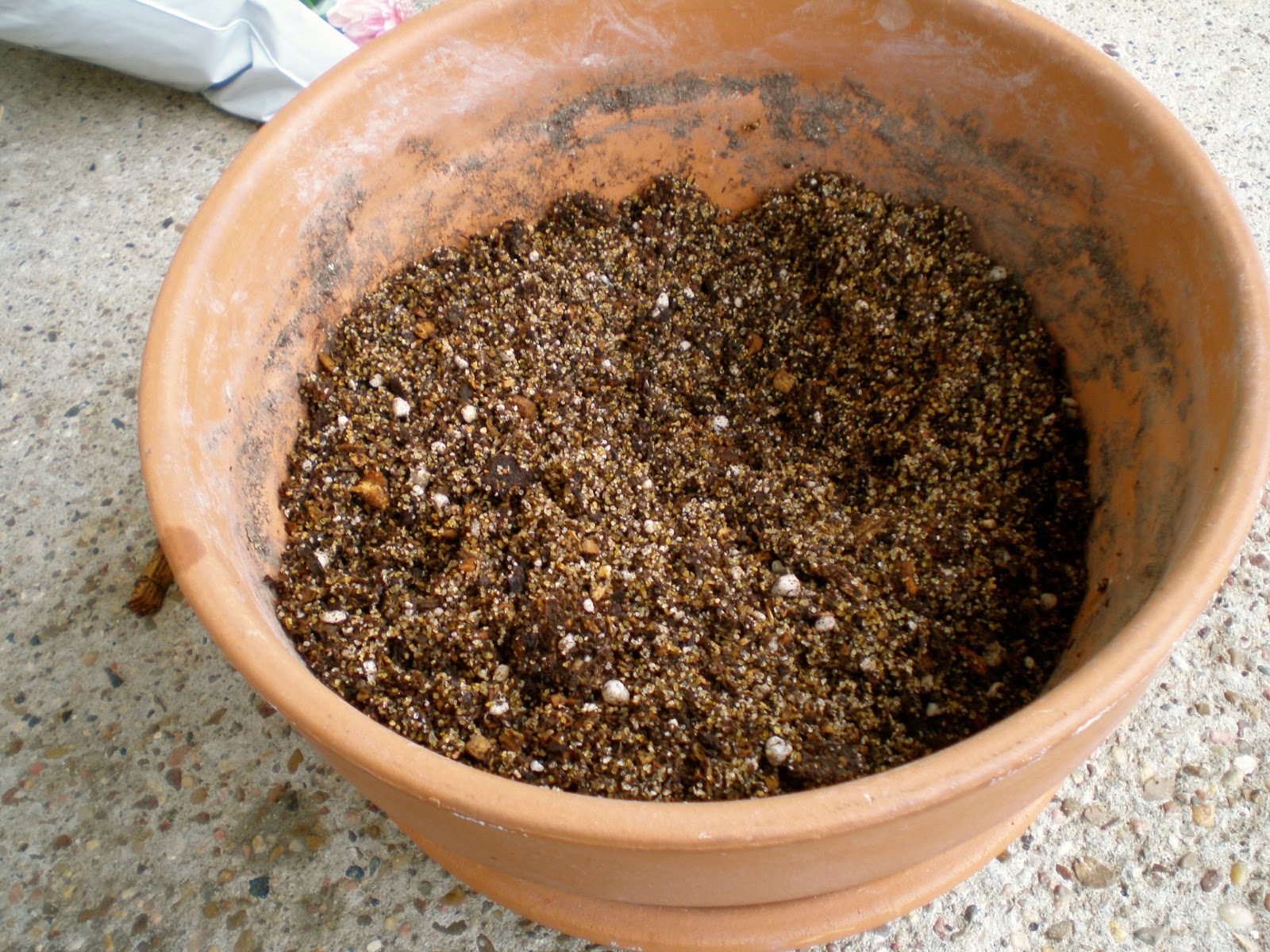 The Fern and Mossery Mixing Soil for a Terrarium