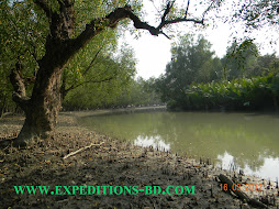 sundarbans tour