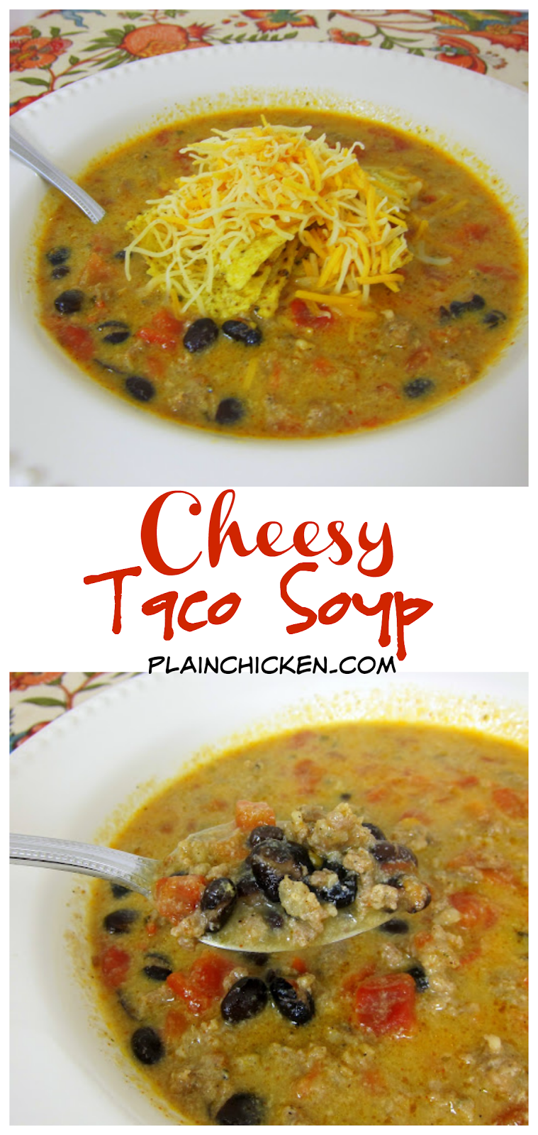 Queso Soup Plain Chicken