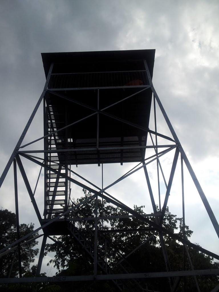 Skookum Traveler Woodstock Tower (VA)